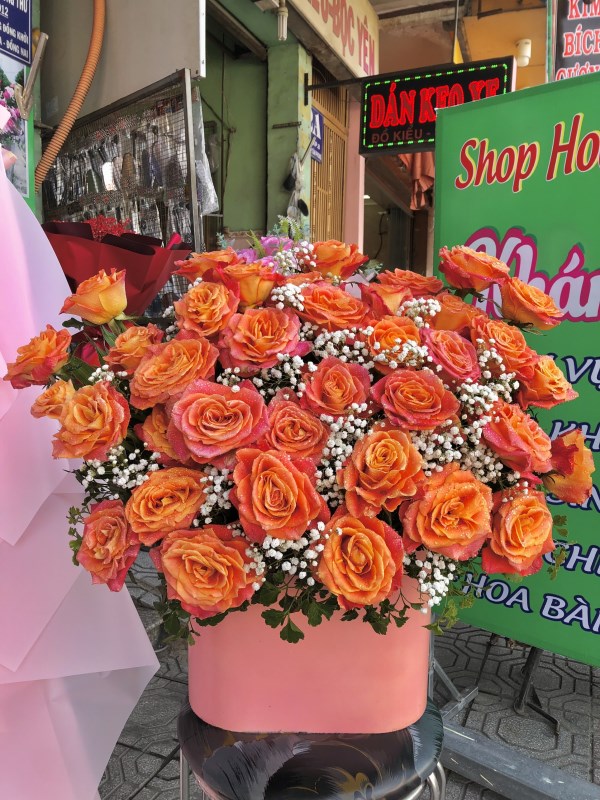 Lẵng hoa, giỏ hoa - Hoa Tươi Khánh Hòa - Shop Hoa Tươi Khánh Hòa
